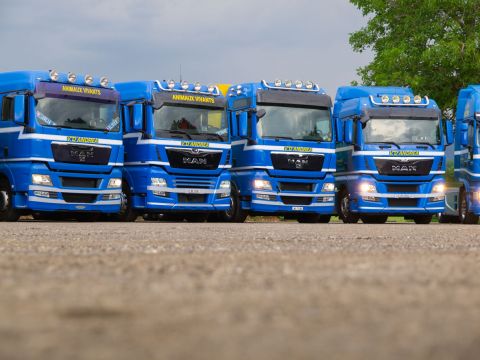 Transports camion Suisse et International 073