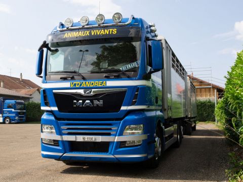 Transports camion Suisse et International 123