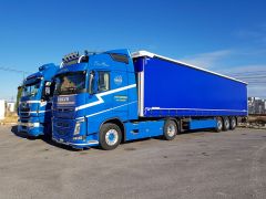 d andrea transports international 01