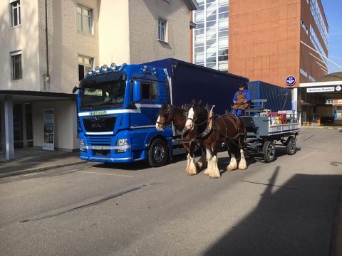 d andrea transports international 04