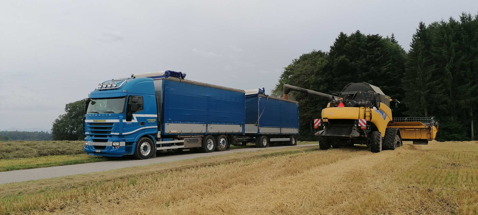 Transporteur de céréales